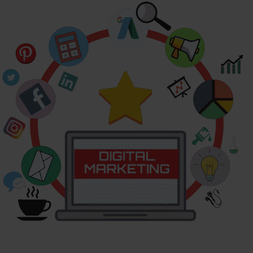 SEO & Digital Marketing Service